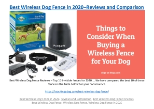 Best Wireless Dog Fence in 2020–Reviews and Comparison