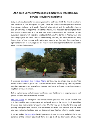 AKA Tree Service: Professional Emergency Tree Removal Service Providers in Atlanta