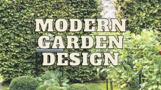 Design Your Garden in Modern Style Using Hedges