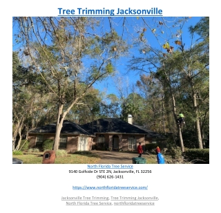 Tree Trimming Jacksonville