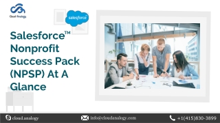 Salesforce Nonprofit Success Pack (NPSP) At A Glance