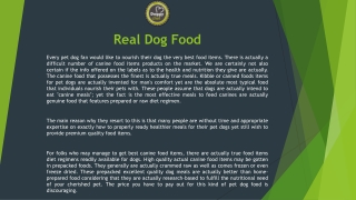 Real Meat Dog Food