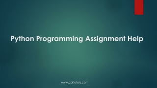 Python Programming Assignment Help