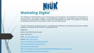 Marketing Digital