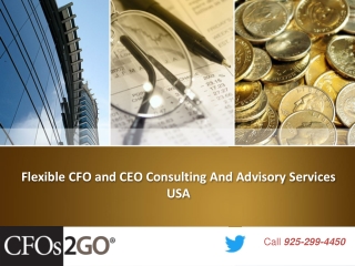 Flexible CFO and CEO Consulting And Advisory Services USA