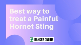 Best way to treat a Painful Hornet Sting