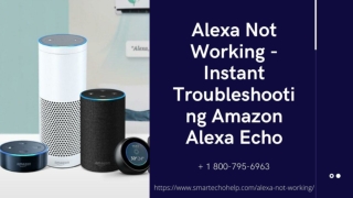 Alexa Not Working 1-8007956963 Alexa Not Responding/Device Offline