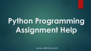 Python Programming Assignment Help