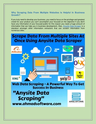 Anysite Data Scraper