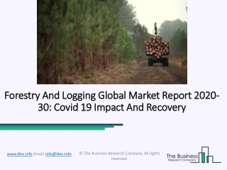 Forestry And Logging Market Industry Trends And Emerging Opportunities Till 2030