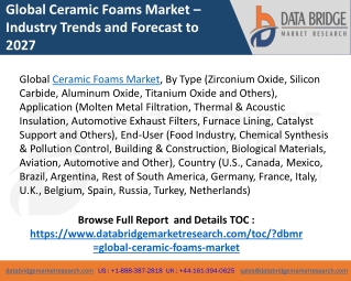 Ceramic foams market