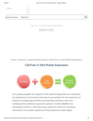 cell free protein expression kit