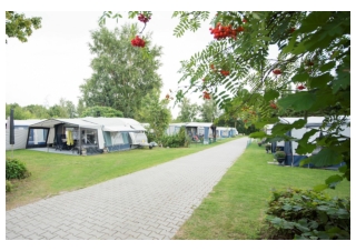 Vakantiepark 't Rheezerwold - Last minute Overijssel