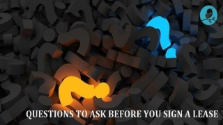QUESTIONS TO ASK BEFORE YOU SIGN A LEASE – BIVOCALBIRDS
