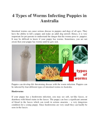 4 Types of Worms Infecting Puppies in Australia