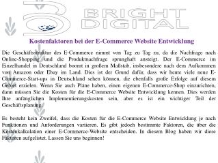 Kostenfaktoren bei der E-Commerce Website Entwicklung