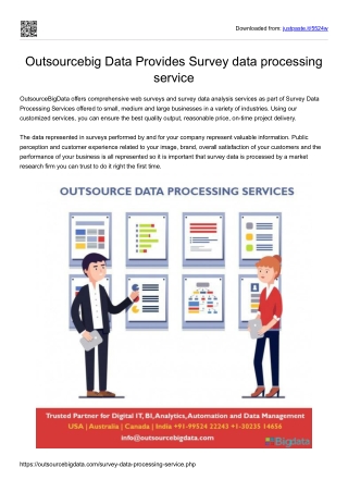Survey data processing services