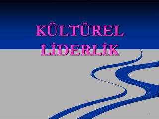 KÜLTÜREL LİDERLİK