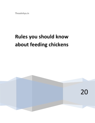 Rules you should know about feeding chickens