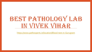 Best pathology lab in Vivek Vihar