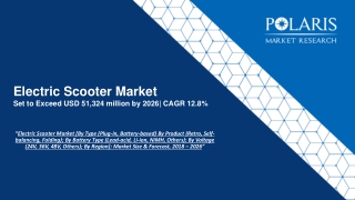 Electric Scooter Market [By Type (Plug-in, Battery-based) By Product (Retro, Self-balancing, Folding); By Battery Type (
