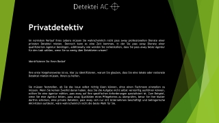 Privatdetektiv