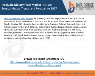 Insoluble Dietary Fiber Market– Future Scope,Industry Trends and Forecast to 2027