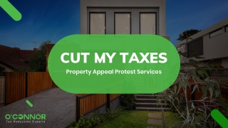 Property Appeal Protest Services