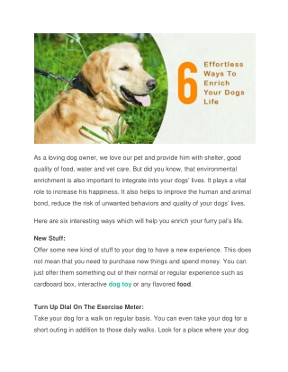 6 Effortless Ways To Enrich Your Dog’s Life