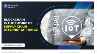 Blockchain is the Future of supply Chain Internet of Things.