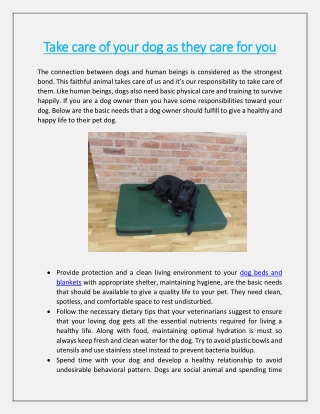 Take care of your dog as they care for you