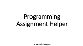 Programming Assignment Helper