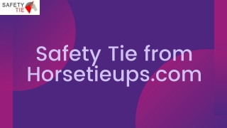 Safe T Tie Horse Tie