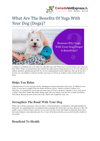 What Are The Benefits Of Yoga With Your Dog (Doga)- CanadaVetExpress