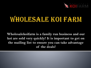 Koi Medications And Treatments