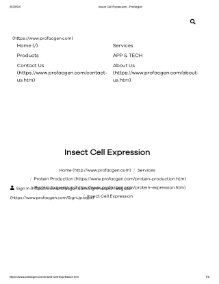 Baculovirus-insect Cell Expression System