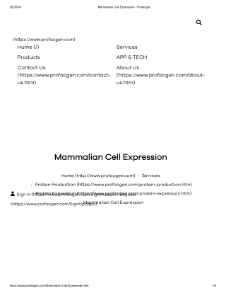 HEK293 expression