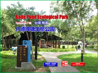 Bade Pond Ecological Park, Taoyuan TW (台灣桃園 八德埤塘生態公園)