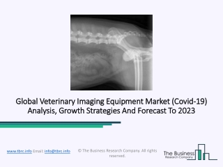 Veterinary Imaging Equipment Market Sales And Prospects Professional Research Report