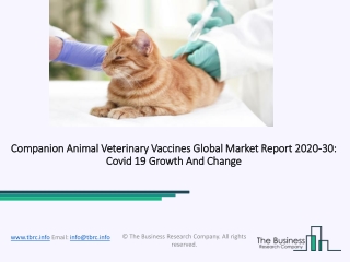 Companion Animal Veterinary Vaccines Analysis and Forecast Report 2030