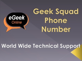 Geek Squad Phone Number