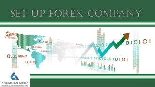 Set Up Forex Company