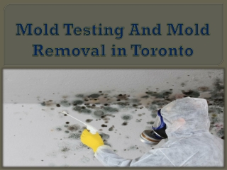 Mold Testing And Mold Removal in Toronto