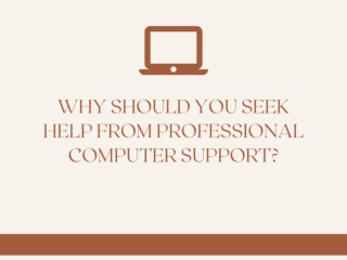 WHY SHOULD YOU SEEK HELP FROM PROFESSIONAL COMPUTER SUPPORT?