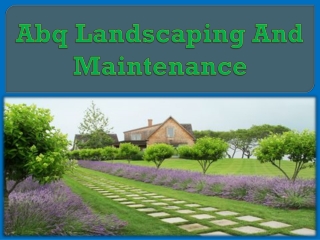 Abq landscaping and maintenance