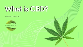 Pros and Cons of Using Organic CBD Products | Green Leaf CBD