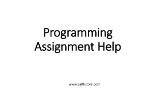 Programming Assignment Help