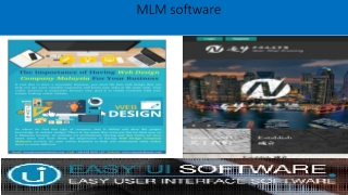 MLM software