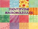 IDENTIFYING MACROMOLECULES