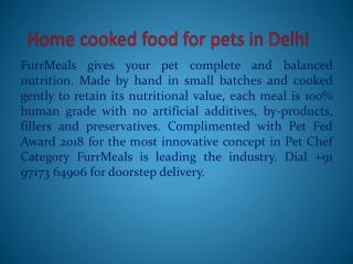 Best Dog Food For Dogs in Delhi